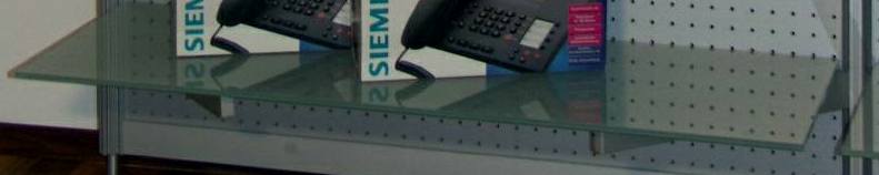 ESG-Glasfachboden satiniert 918x300 mm LxT