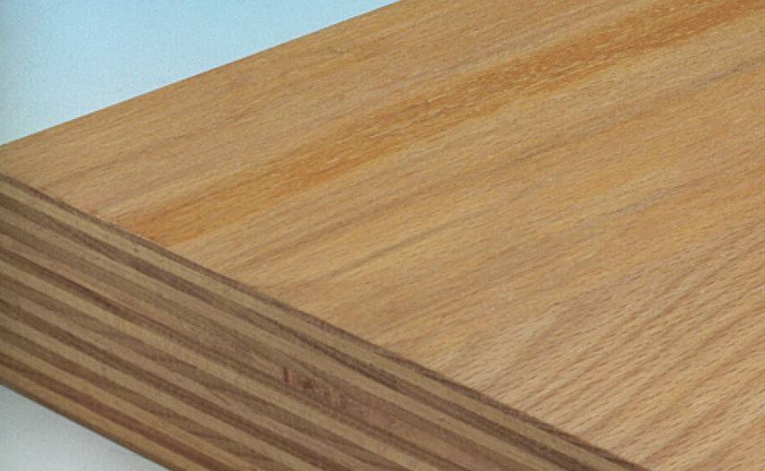 Buche-Multiplex-Platte 