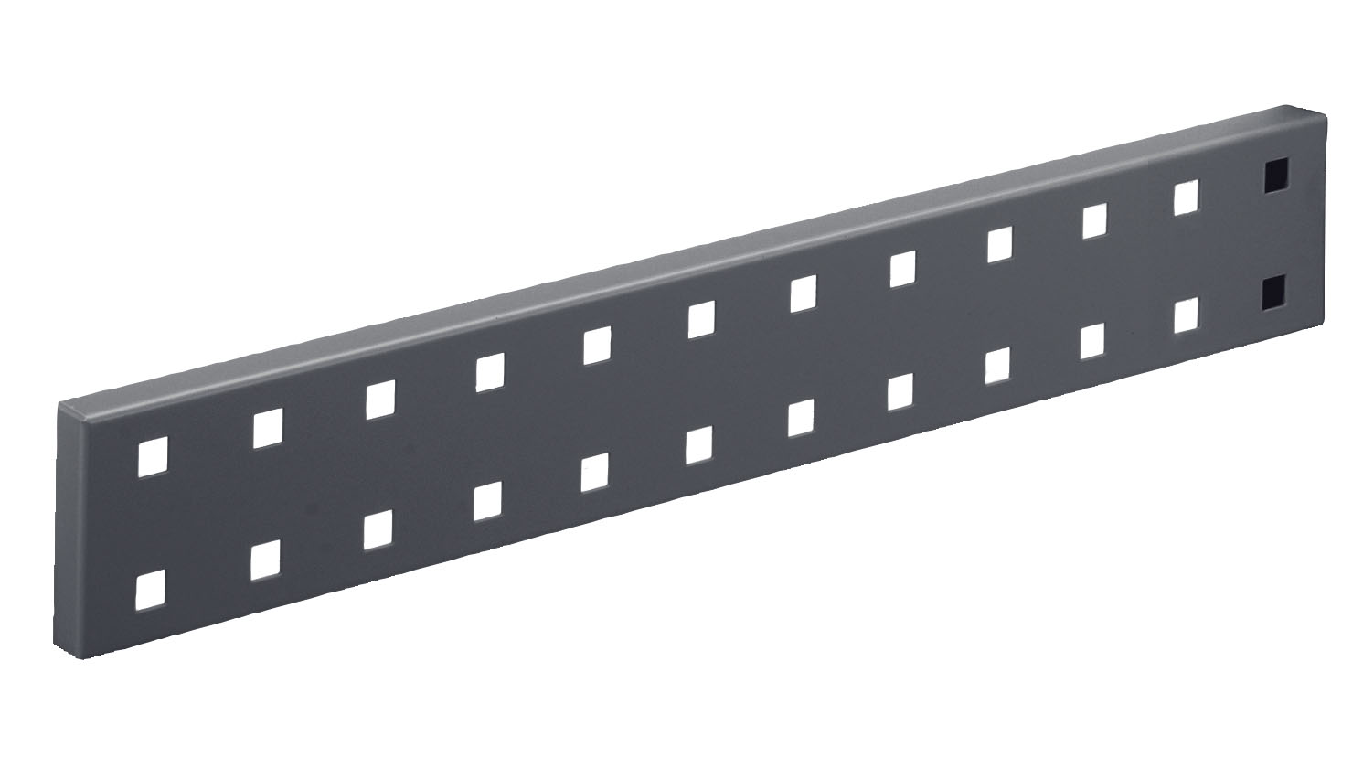 Wandschiene Lochplatte 460 x 70 mm LxH, anthrazitgrau