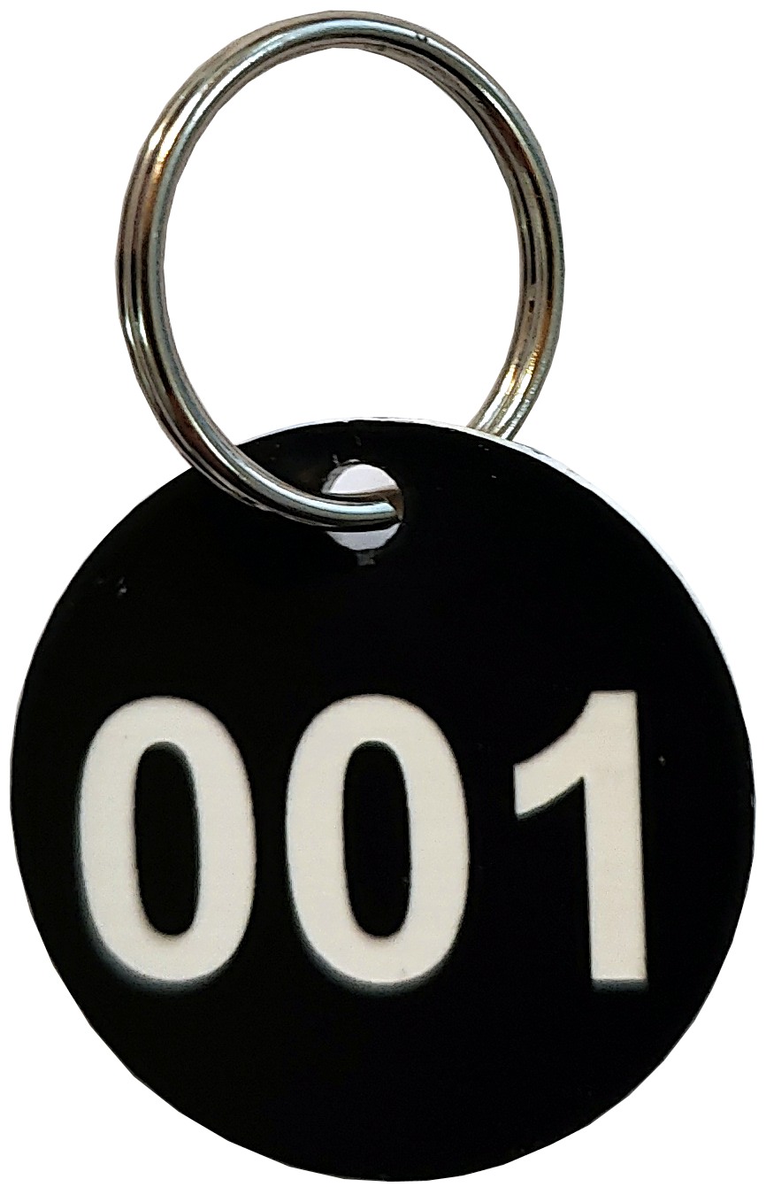 Astralonschild mit Schlüsselring