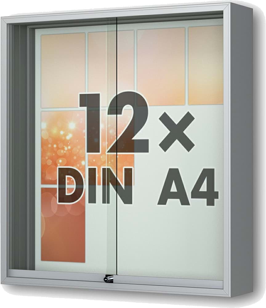 Schaukasten Fortis 930x1010x210 mm BxHxT