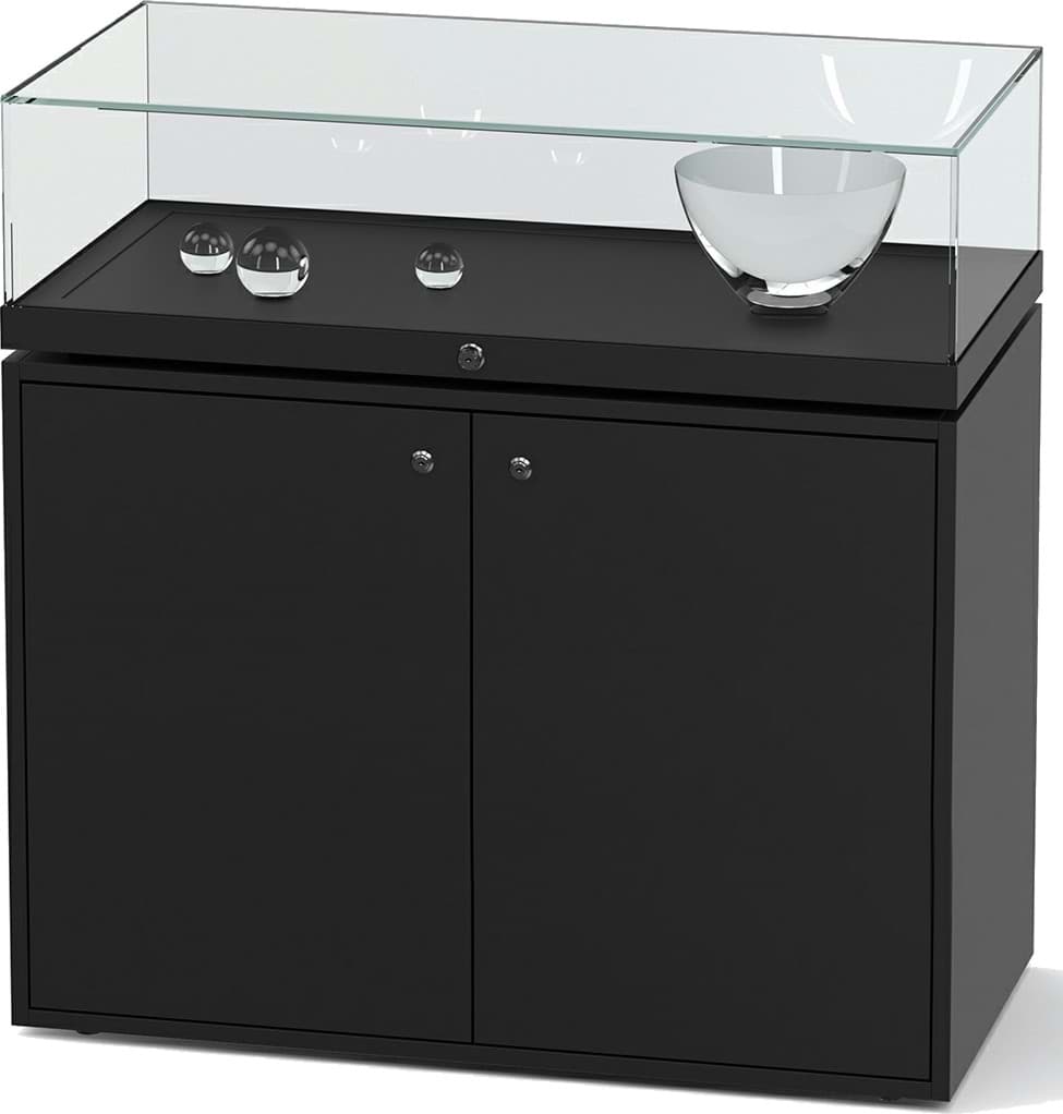 Tischvitrine Fanum 260, 970x1000x500 mm HxBxT