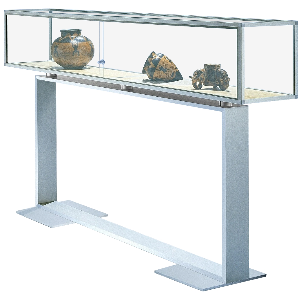 Ausstellungsvitrine 1500x2500x420 mm HxBxT