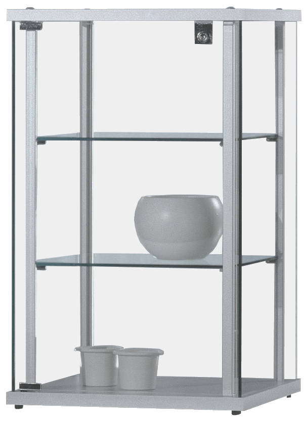 Ganzglasvitrine klein 700x430x430 mm HxBxT