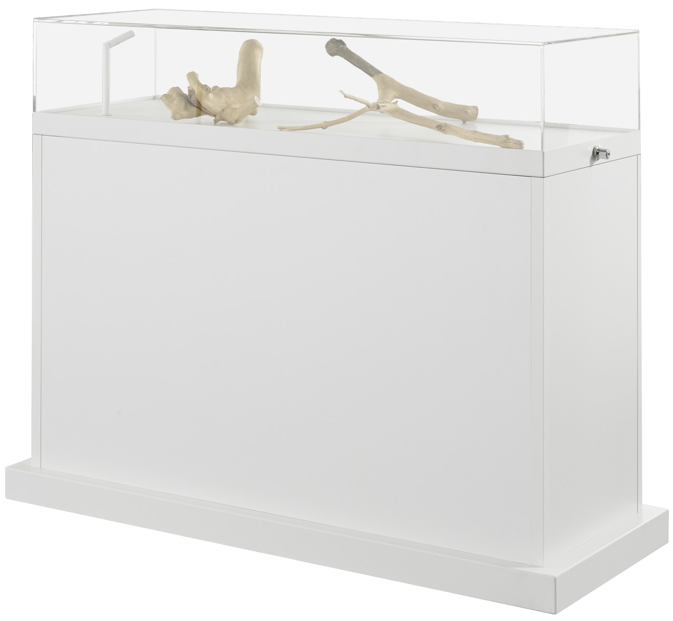 Exponat-Thekenvitrine 1000x1200x500 mm HxBxT mit Kunstglashaube, silber