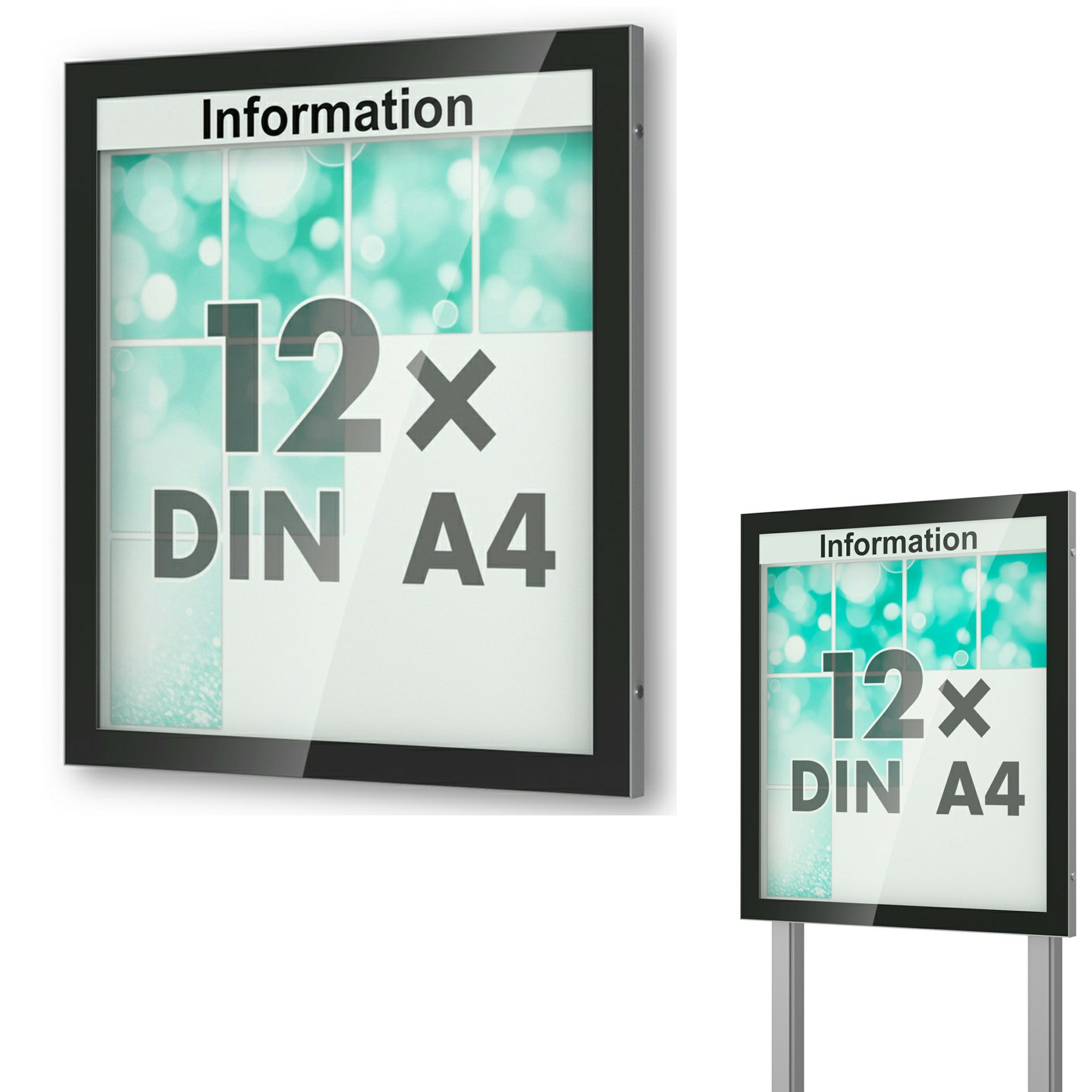 Schaukasten Visus 1050x1150x53 mm BxHxT